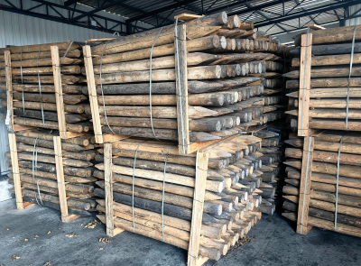 Колья деревянные окоренные