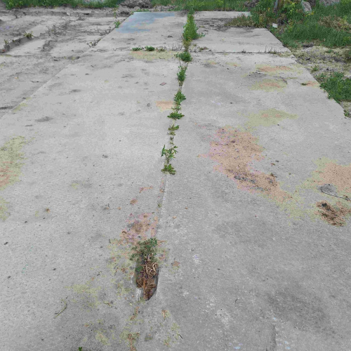 Плиты дорожные аэродромные