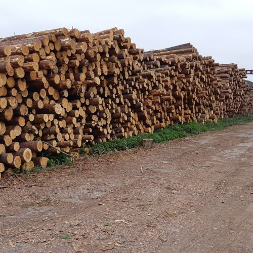 Транспортно-логистический, производственный комплекс