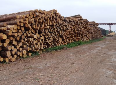 Транспортно-логистический, производственный комплекс (-50%)